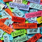 multilingual domain
