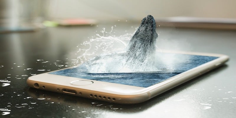 Escalation in OpKillingBay
