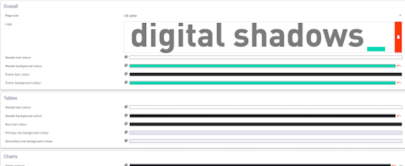 Company Logo in Report