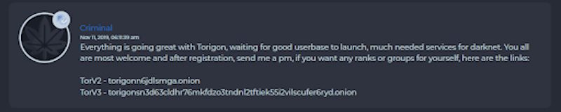 Torigon’s admin announcing the site was back online following unexplained downtime