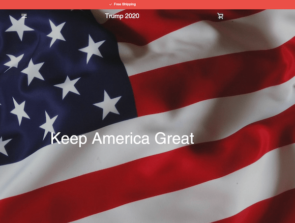 Illegitimate US 2020 Election Site