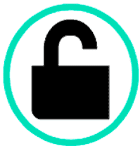 Initial Access