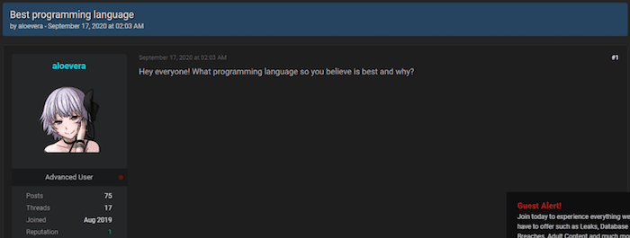 RapidForums