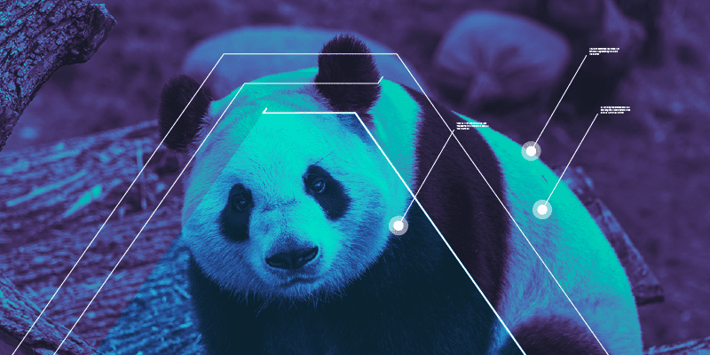Advanced persistent threat group feature: Mustang Panda